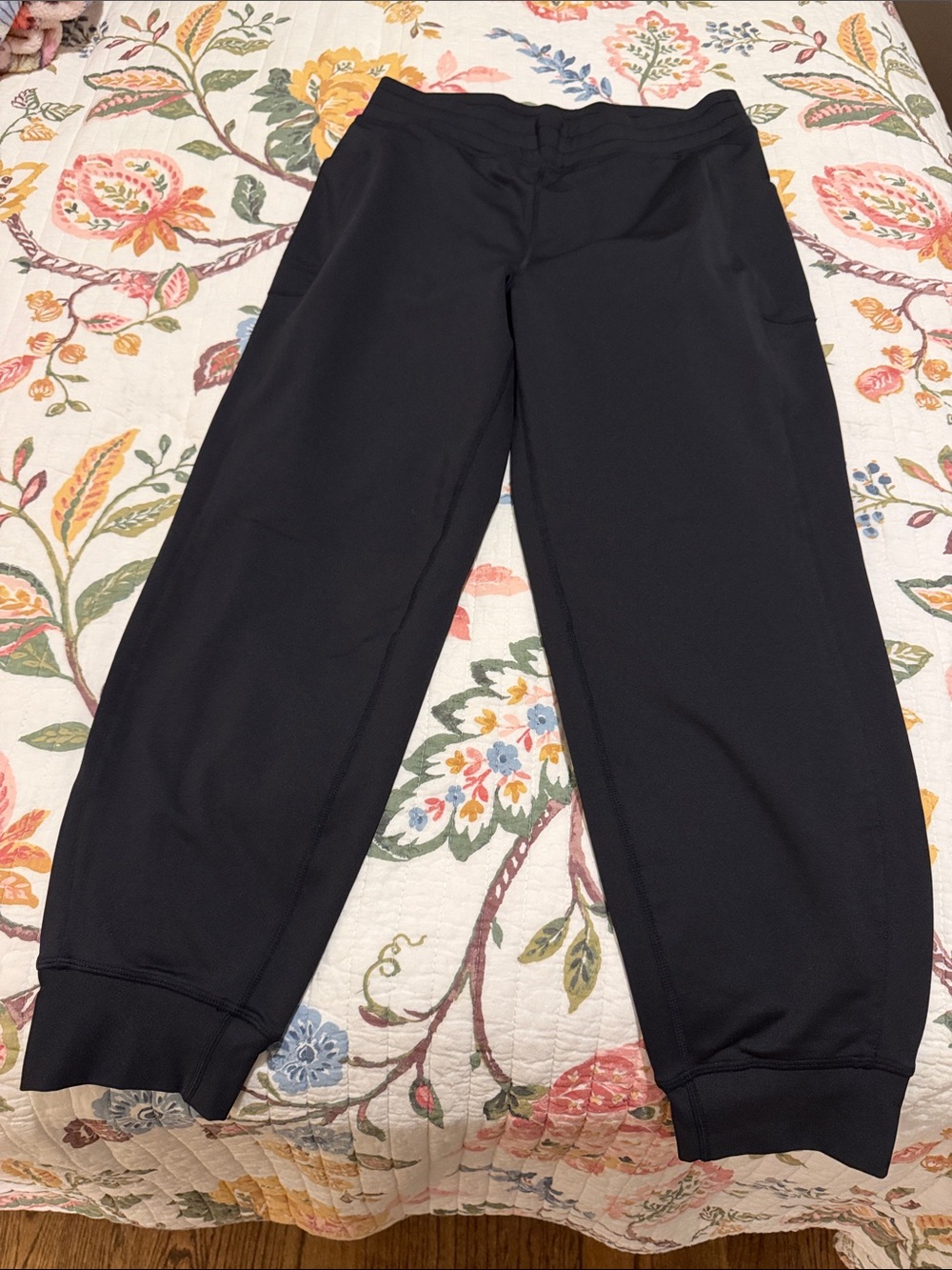 Fabletics Womens On-the-Go cold weather Jogger